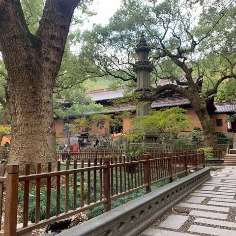 普陀山礼佛（三）法雨寺2020.11.26-2020.11.29