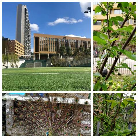 从无到有：沐浴阳光、春雨，我们在成长的路上。