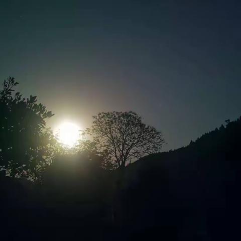 春天校区—科学信息的美篇