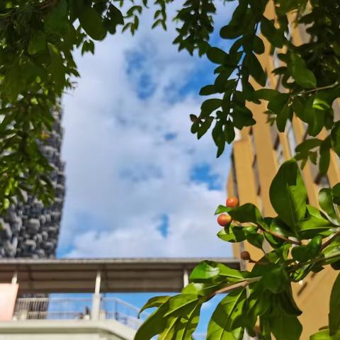 春天科学联盟：环境与我们项目式学习第一期简报