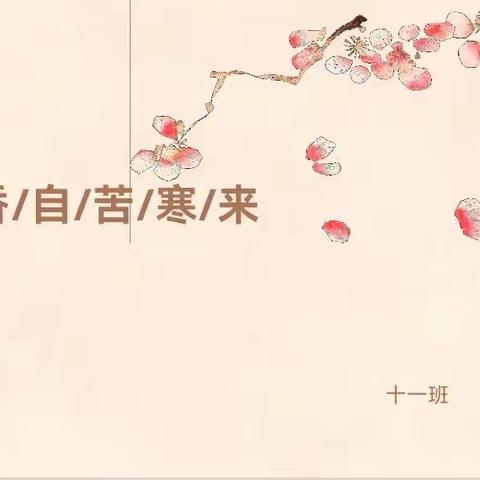 “梅花香自苦寒来”