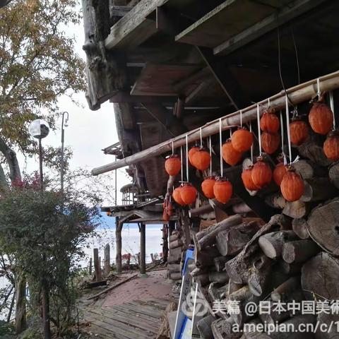 ~东瀛之约~红葉回廊中慢步