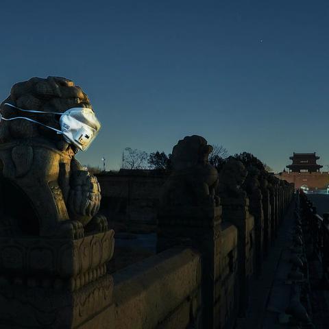 2020:我的影像日记之二（夏、秋）