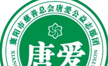 2022年4月3日上午，襄阳慈善总会唐爱突击队对其社区居委会管辖居民小区进行防疫消杀。