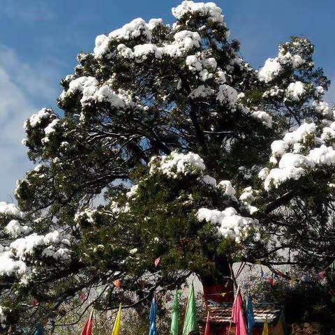 走进原生态旅游区黄毛沟