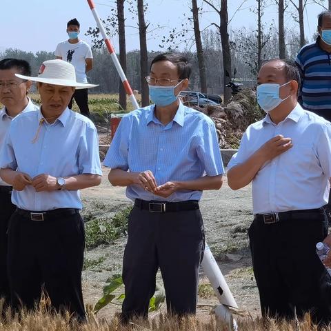 国家统计局河南调查总队来范调研夏粮实产情况