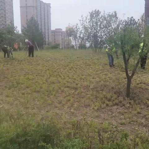 YXF 的美篇