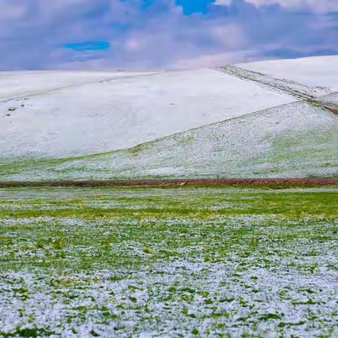 【知青岁月】灭鼠（15）夏雪· 冻死人