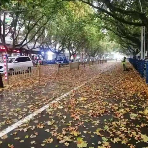 风雨中，住建人在行动