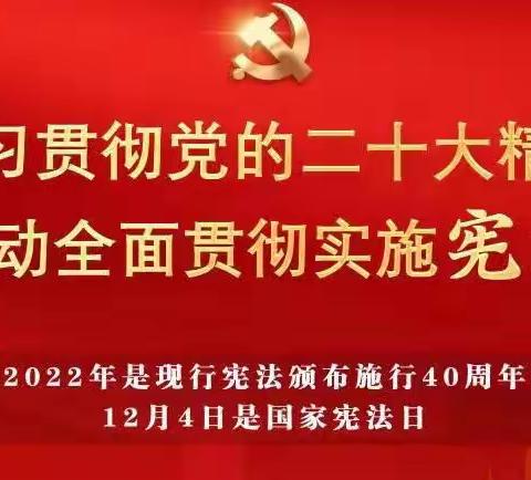 国家宪法日，学法正当时——物流园学校开展2022年“全国宪法日”宣传活动