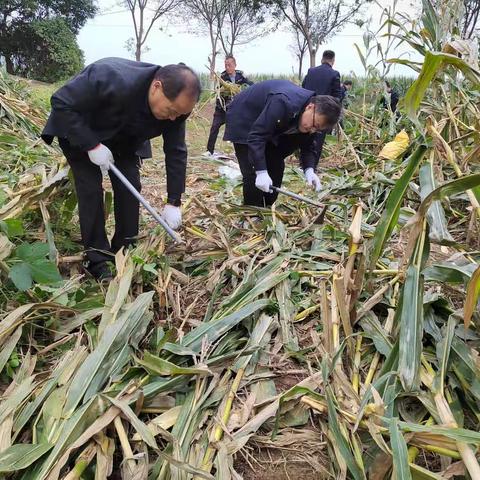 助农抢收暖民心     我为群众办实事