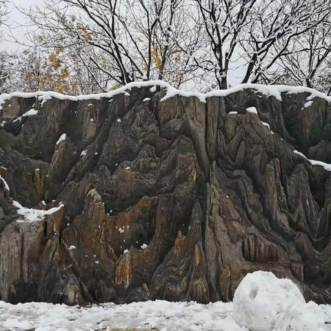 杭州·紫金港的冬雪