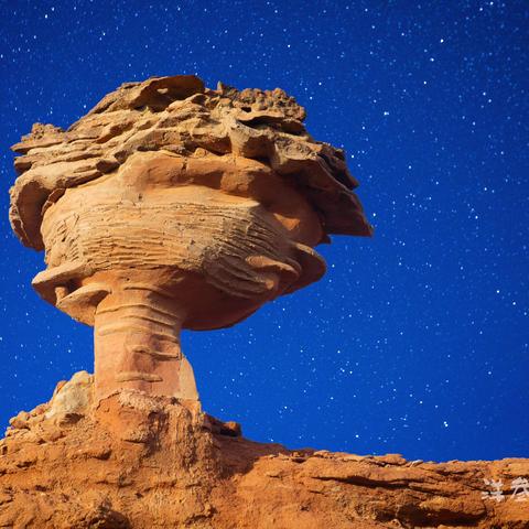 今夜，内蒙的星空灿烂