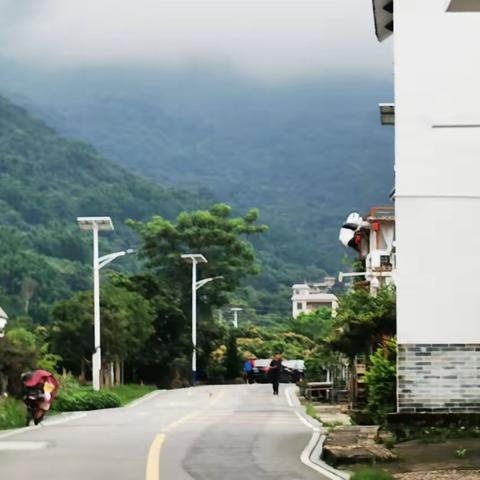 水墨从化南平村～ 一个来了不想走的地方