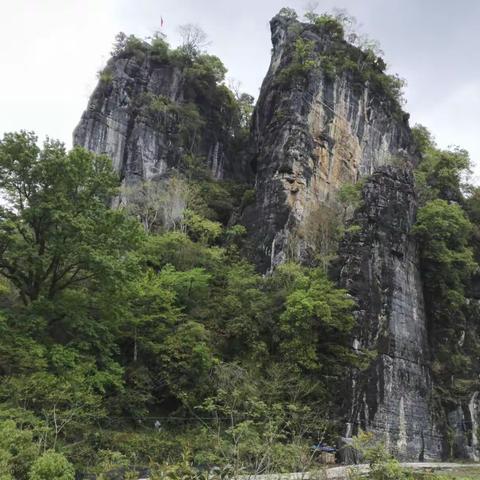 大山里的梦想