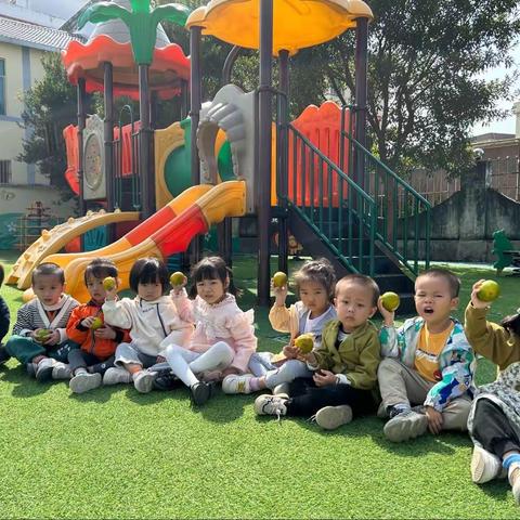 大桥小学附属幼儿园小班第十六周精彩回顾