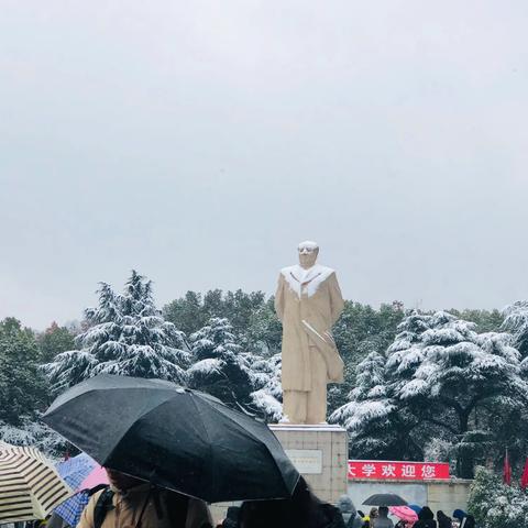 岳麓山大雪即景