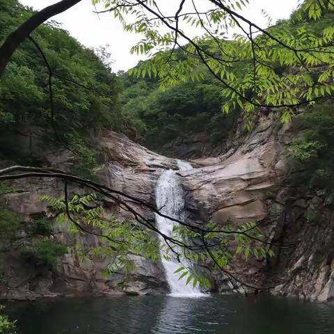 在谷雨前的最后一个周末，清晨起来，乘车赶往相距市区40多里以外的黑龙潭。迎着和熙的风，温润的雨……