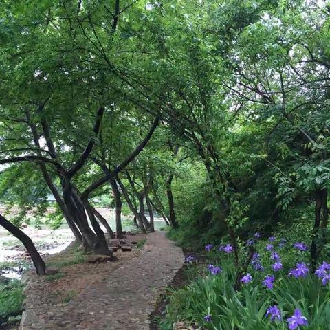 风雨西河