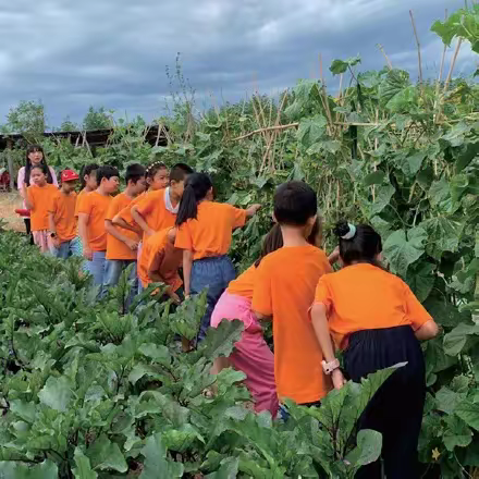 6月11日走入乡间田野，放飞心情——乌鲁木齐高知桥青少年第五期社会实践研学活动！