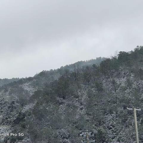 《瑞丰年的福祉》