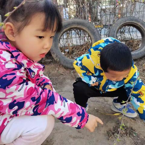 大家好我是新城康都幼儿园小一班的冯博诚和冯博骏，我们是一对双胞胎，今天我们带大家看看我们的幼儿园生活吧