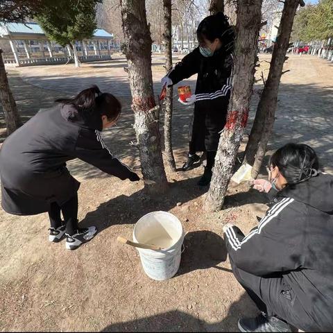 东湖二项目｜树木刷白穿新衣