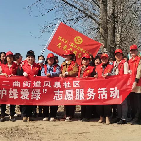 二曲街道凤泉社区——春回大地万物苏 植树添绿正当时