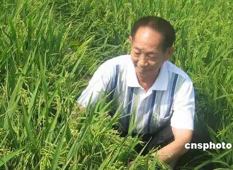 稻花香里忆袁公 ——黄河中学举行仪式追思袁隆平院士