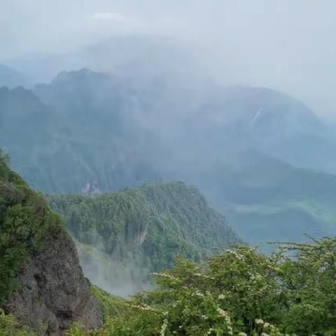 海丰县陶河中学2023年春季期末、端午节、暑假安全告家长书