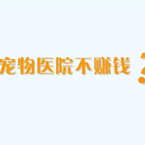 动物医院收益不理想怎么办？给您一点经验