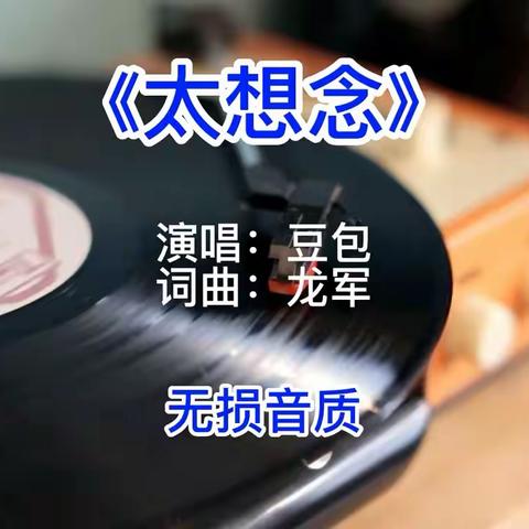 《太想念》无损音质完整版