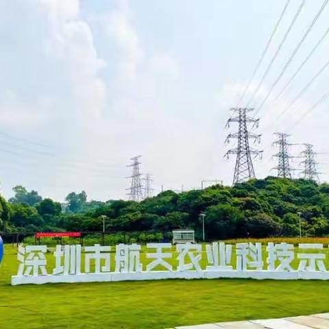 我实践 我体验 我快乐——打卡深圳实践基地