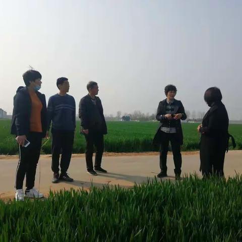 市农业农村局副局长贾宏伟一行来我县检查指导小麦病虫害防控等工作