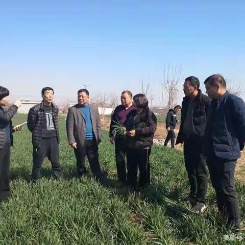 市植保植检站站长陈国政来我县查看小麦病虫害防控工作