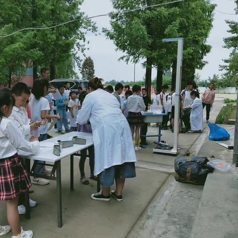 高新区第四十五小学炉丹分校第十六周工作总结