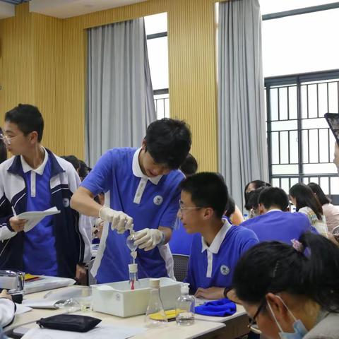 探化学之“碱”奥秘，研课堂之“增”质效