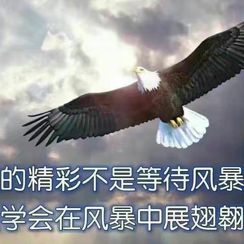 洛江实小5年3班军训剪影