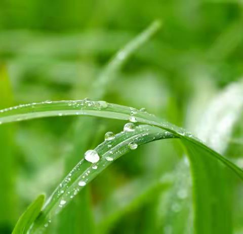 今天，学校里下雨了---疫情值班手记