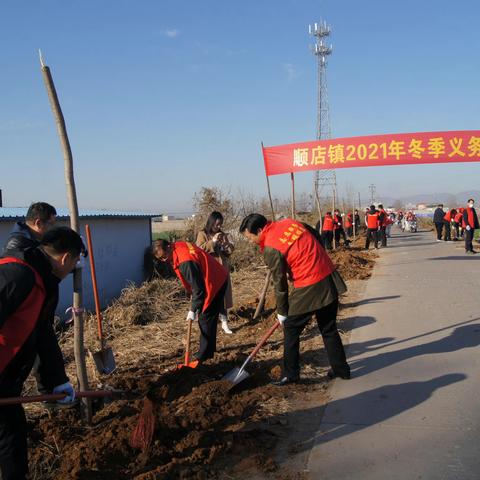 植树增绿正当时，顺店镇组织开展2021年冬季义务植树造林活动！