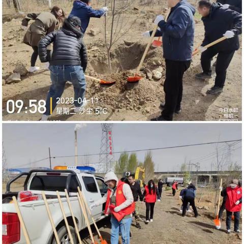 市纪委监委第三党支部青年理论学习小组与第五监督检查室党小组共同携手开展义务植树活动