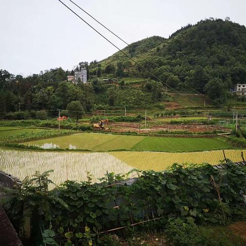 大爱无声，勇往直前。