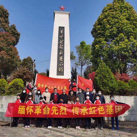 缅怀革命先烈传承红色基因——陶冲中心小学党支部开展清明祭扫活动