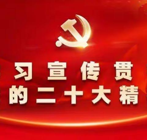 奋楫扬帆踏征程     学思践行谱新章—济宁市普育回民小学党支部学习宣传贯彻二十大精神