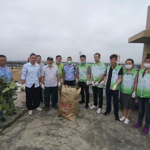 楼顶近百米“私家菜园”  统一整治