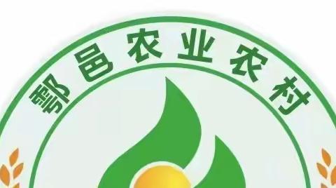 鄠邑区产业技术提升培训在脱贫村——王过村举行