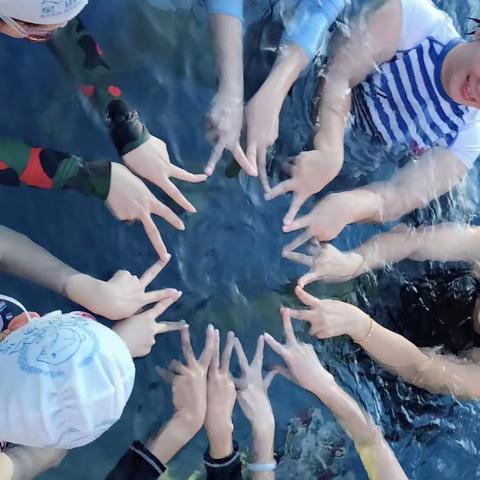学游泳，到星迈﻿—— 星迈体育游泳俱乐部火热招生，助您畅游天下！