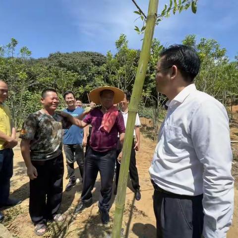 电白区山区片组织召开退役军人就业创业交流会