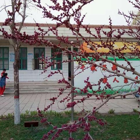 示范带动，典型引领，以点带面，全面开花。——北孟小学期末复习示范课活动札记