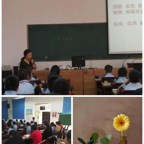 “搭建青蓝之桥 共建精准课堂”系列活动二